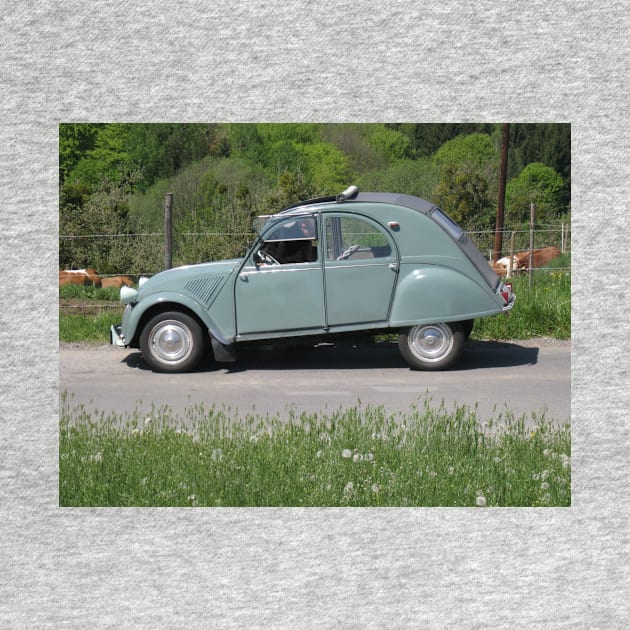 2CV duck grey by Roland69